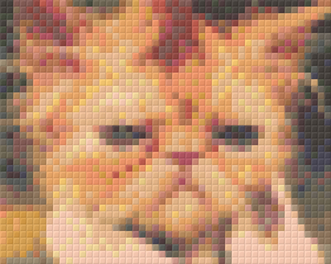 Grumpy Cat One [1] Baseplate PixelHobby Mini-mosaic Art Kit image 0
